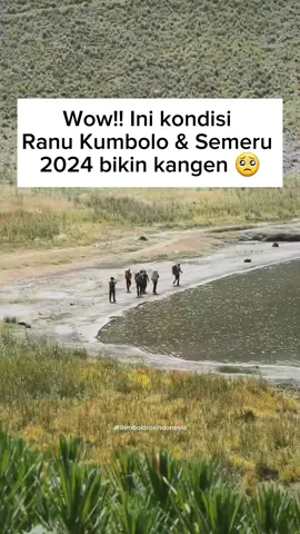 Kondisi pendakian Semeru dan Ranu Kumbolo 2024, yang diambil oleh @ludiksis saat melakukan kegiatan bersih2 jalur pendakian gunung Semeru bersama @gimbalalasindonesia. Kalian kangen tempat terindah di Pulau Jawa ini gak sob? 🥺 Video via @lingkarmalang.. #pendaki #pendakiindonesia #Ranukumbolo #gunungindonesia #pendakigunung #semeru #gunungsemeru #pendakijakarta 