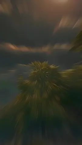 #CapCut 