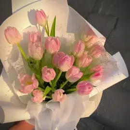 Đâu là bó hoa mà cậu thích 🌷#tulip #tulips 