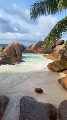 Bien arrivée au paradis 🇸🇨🏝️🥥☀️ #seychelles #seychellesisland #ladigue #ansepatates #beachlife #summertok #beautifuldestinations #ocean #tropical #coconut #girltravel #traveltiktok #voyage #travelinspiration #paysagederêve #decouvrirlemonde #easthetic #frypgシ #foryou #fry 