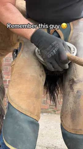 Young horses do give us a hard time but we manage and eventually with the right guidance can become very nice horses to work with. This guy is only 4 and definitely tries his luck. Hes very sweet though.  #farriersoftiktok #farrier #fyp #fypシ゚viral #foryou #oddlysatisfying #satisfying #fypage #viral #forfarriersbyfarriers 