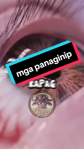 mga ibig sabihin ng panaginip #satisfyingvideos #randomfacts #facts #randomjokes #jokes #facts #contentonly #fypシ #foryou  #panaginip