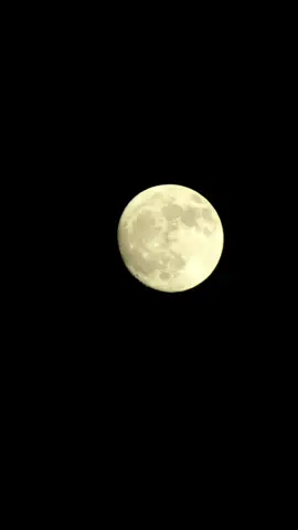 Permata di Angkasa #malam #moon #bulan #fyp #foryoupage #kamera #canon #zoom 
