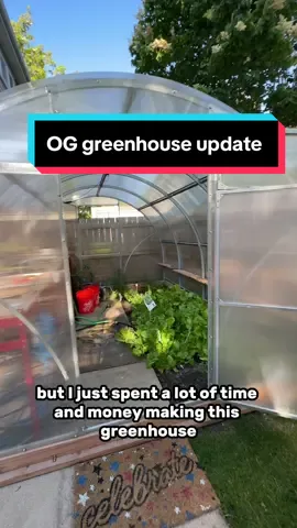 The OG goldfish greenhouse is alive and well! Just doesn’t contain goldfish anymore. I liked that greenhouse, it served me well for the short time I used it. #fish #goldfish #aquarium #ranchu 