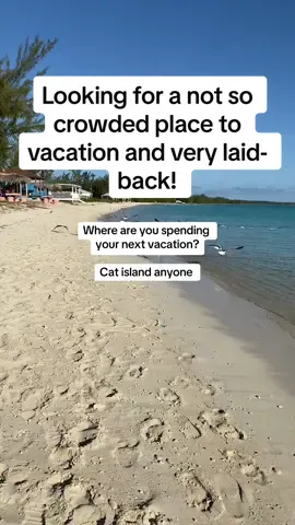 Where are you spending your next vacation!#islandvibes🌴 #vactionvibes 