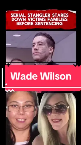 ‼️Wade Wilson UPDATE ‼️ #truecrime #wadewilson #news #updates #viralnews #florida #floridaman #justice 