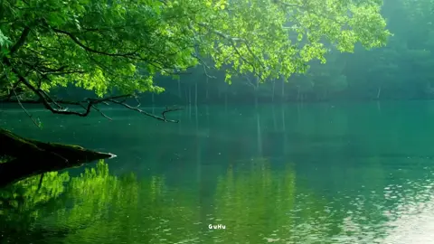 Gia đình là chốn thương nhau #mechangcogi #kientrinh #guhu #xuhuong #fypシ 