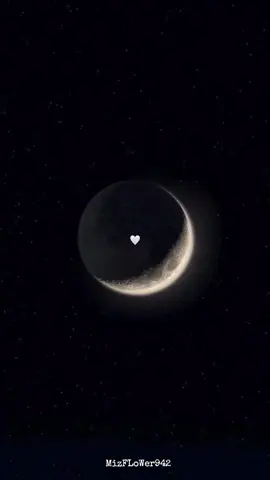 power of BGM🎧🤍  #tamilbgm #tamilmelody #tamiltiktok #melodysong #tamilstatusvideos #fyppppppppppppppppppppppp #fypシ゚viral #brokenheart #fypage #mizflower24🤍 #mizflower942 #moonlover #nightview #tamilsongbgm #tamilsongbgm❤️❤️ 