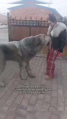 We don’t deserve animals 🥹❤️ #wholesome #animalsoftiktok #animals 