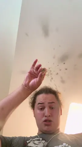 Sandwich munchin #sandwich #sandwiches #tomyrichman #devilisalie #cookin #groovin #chef #fypage #foryoupage #vibes #airfryermaster #shmoovin #shitposting 