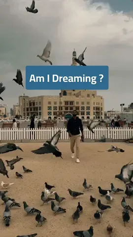 Qatar is a dream come true 🤩 #qatar #visitqatar #traveltok #TikTokTrends #trendingaudio #amidreaming