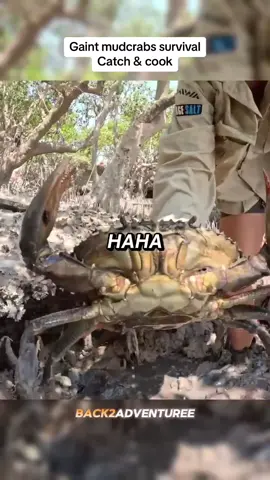 Gaint mudcrabs #survival #catchandcook #Outdoors #mudcrab #fyp 