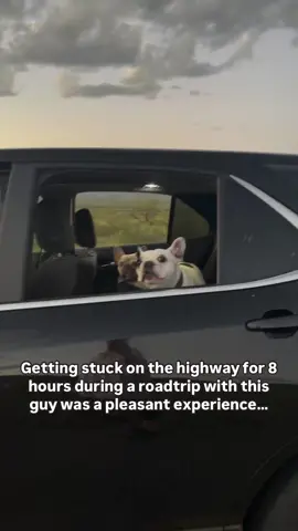 12/10 experience… I would reccommend to everyone. Cannot wait to do this exact route again in a couole days. 🫠 #roadtrip #texas #california #newyork #dog #frenchie #foryou #foryoupage 