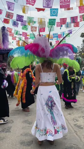 #fypシ゚viral  #paratii #chinelos #mitzi🪶