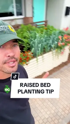Ready to turn your garden from ordinary to outstanding? Here’s the secret: 🌵 Tall plants in the back 🌿 Medium height plants in the middle 🌱 Short plants up front Utilize the corners to break the border. If you’re short on space, plant more tightly to give your beds a fuller appearance.
