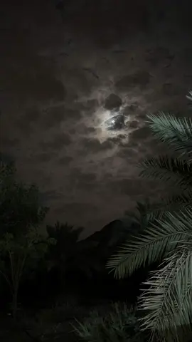 وليه القمر..🚶🏻‍♂️ #محمد_بن_فطيس #fyp #تصويري 