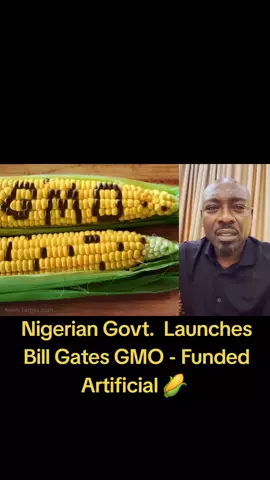 Not a great day for Nigerian agriculture.  #Naija #nigeria #nigeriantiktok🇳🇬🇳🇬🇳🇬❤️❤️🇳🇬🇳🇬🇳🇬 #naijatiktok #naijatiktok🇳🇬 #gmo 