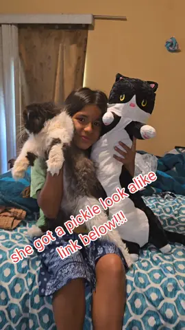 she got a pickle her kitty look alike is sooo soft and cute!!! #purchaseonlink #catlongpillow 