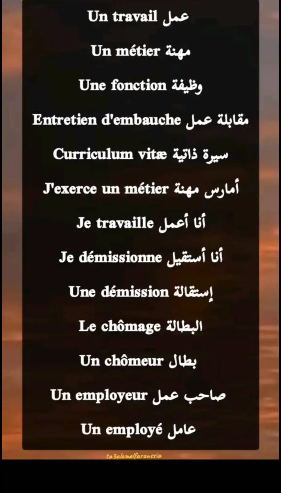 #fpyシ #الشعب_الصيني_ماله_حل😂😂 #algérie🇩🇿 #france🇫🇷 #فرنسا🇨🇵_بلجيكا🇧🇪_المانيا🇩🇪_اسبانيا🇪🇸 #apprendresurtiktok #فرنسا #parlerfrancais #voucabular #fypシ゚ 