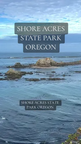 Shore Acres State Park Oregon #pacificnorthwest #oregon #naturelovers #soundsofnature #pnw #oregoncoast #cove #sealions 