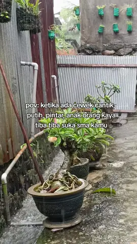 ga bisa berkata kata ...  #galaubrutal #fyp #xybca 