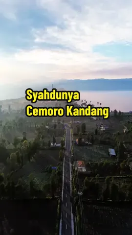 Desa Cemoro Lawang ini lokasinya berada tepat di lereng pegunungan Tengger dengan akses jalan dari Pasuruan-Probolinggo. Kondisi jalan untuk menuju ke Desa Cemoro Lawang ini beraspal baik walau di beberapa titik kondisi jalan menyempit dan juga masih belum diperlebar. Di desa ini banyak bermukim suku Tengger yang mayoritasnya memeluk agama Hindu. Ketinggiannya 2200 mdpl dimana disini pesona pagi dengan udara yang sangat dingin dipenuhi kabut akan sangat sempurna di pandangan mata. Dari ujung desa Cemoro Lawang, Anda juga bisa menikmati pemandangan indah Gunung Bromo dan Gunung Batok yang diselimuti oleh kabut. .  Video by IG mahfudbarmawi  #exploreprobolinggo #cemorolawang #wisatabromo #bromotenggersemeru #wisataprobolinggo #beautiful #wisatamalang #wisatapasuruan #djiglobal #djiera
