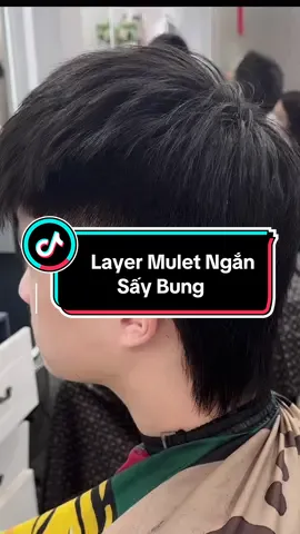 Mulet ngắn gọn đang hot✅#bonguyentuan #nguyễntuấntócboyphố #xuhuong 