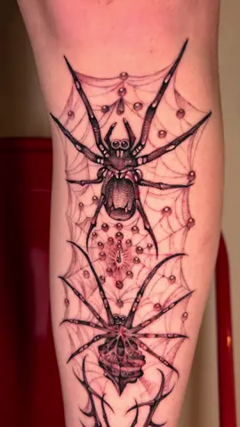 Spider tattoo today for Taylor <3