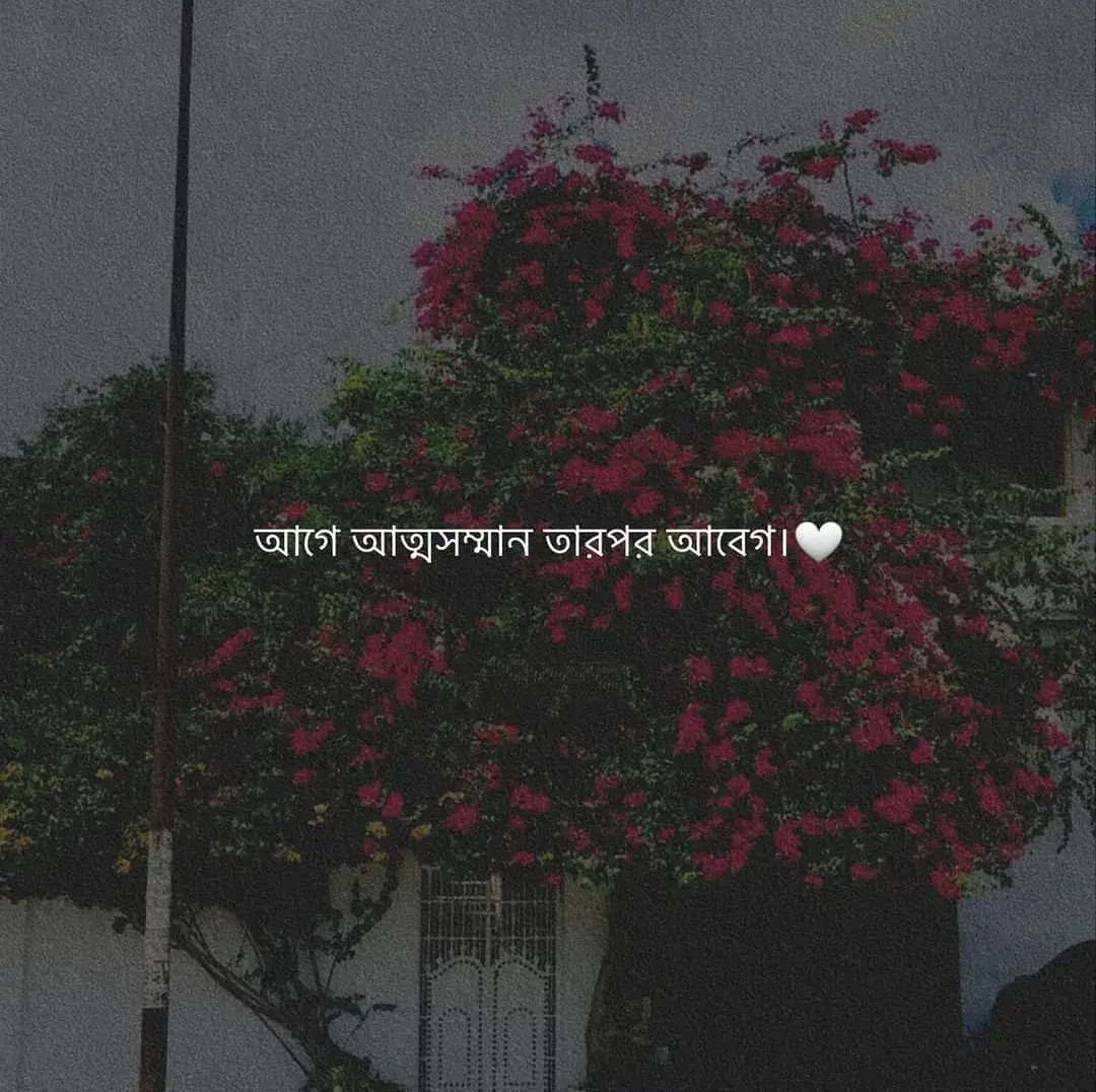 Part-12 | আগে আত্মসম্মান তারপর আবেগ!🤍 #status #foryou #tiktok #bangladesh @StatusForYou @TikTok 