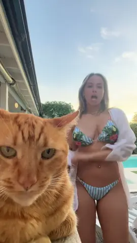 Me robo el show jaja lo amo 🐱 #foryou #viral #fyp #parati 