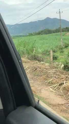 Cai tạo tốt nha người ae