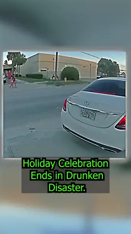 Holiday Celebration Ends in Drunken Disaster part 6#cops #police #copsoftiktok #policeofficer #fyp #viral #bodycam #dashcam