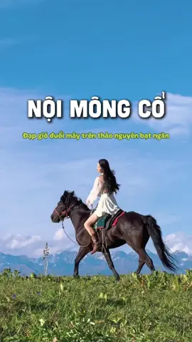 Nếu chưa thể đi Tân Cương, hãy đến Nội Mông Cổ. Ngồi trên lưng ngựa đạp gió trên thảo nguyên bạt ngàn, cảm nhận sự tự do và nhiệt huyết cuộn trào trong lồng ngực. Mỗi tiếng vó ngựa chạm đất là từng nhịp đập con tim cháy bỏng và căng tràn sức sống. #china #trungquoc  #dulichtrungquoc #reviewtrungquoc #noimongco #dulich #dulichotrip #otripvietnam #trungquoc #china #travel #xuhuong #tiktok #trending #viral #xuhuong #trending #fyp #cuoingua