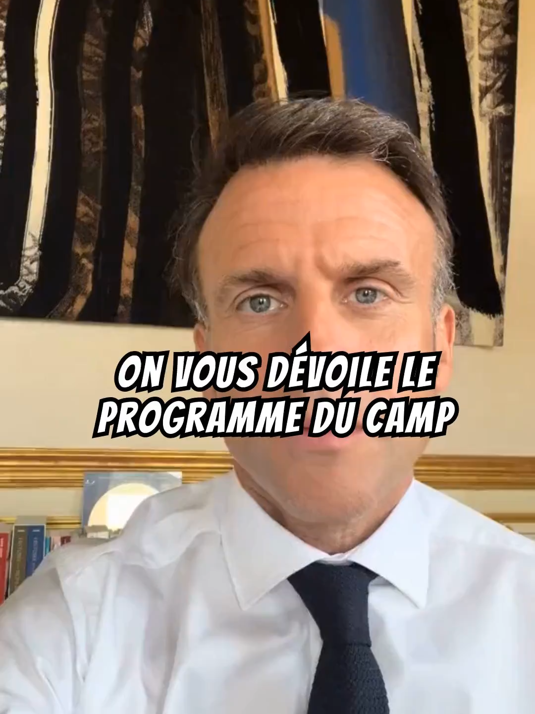 On vous dévoile le programme du camp présidentiel pour les élections législatives ! #politique #législatives #macron #emmanuelmacron #gabrielattal #jordanbardella #manonaubry #politics #programme #actufrance #newsfrance #pourtoi #fyp