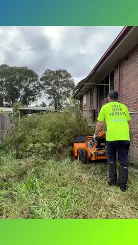 It took me a month to clean this entire place #freemowfridays #lawns #mowing #australia #wow #satisfying @Able Minds Services @ManagedWasteService @Aussie Industries @Claratyne 