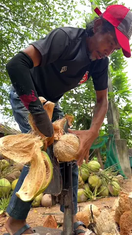 The Amazing Skill of Peeling Dried Coconuts #coconut #fruit #fyp #viral #tiktokfood 