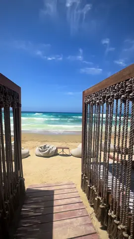 Cyprus Beach Days 🧿🌊🐚🇨🇾 #cyprus #paphos #peyia #beach #travel 