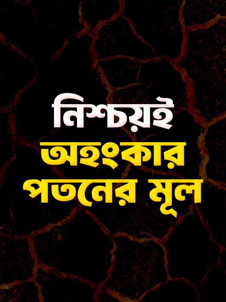 নাউজুবিল্লাহ! অহংকারী আল্লাহর সাথে এমন অবস্থায় দেখা করবে যে,তিনি তার উপর অসন্তুষ্ট থাকবেন। নিশ্চয়ই অহংকার পতনের মূল!