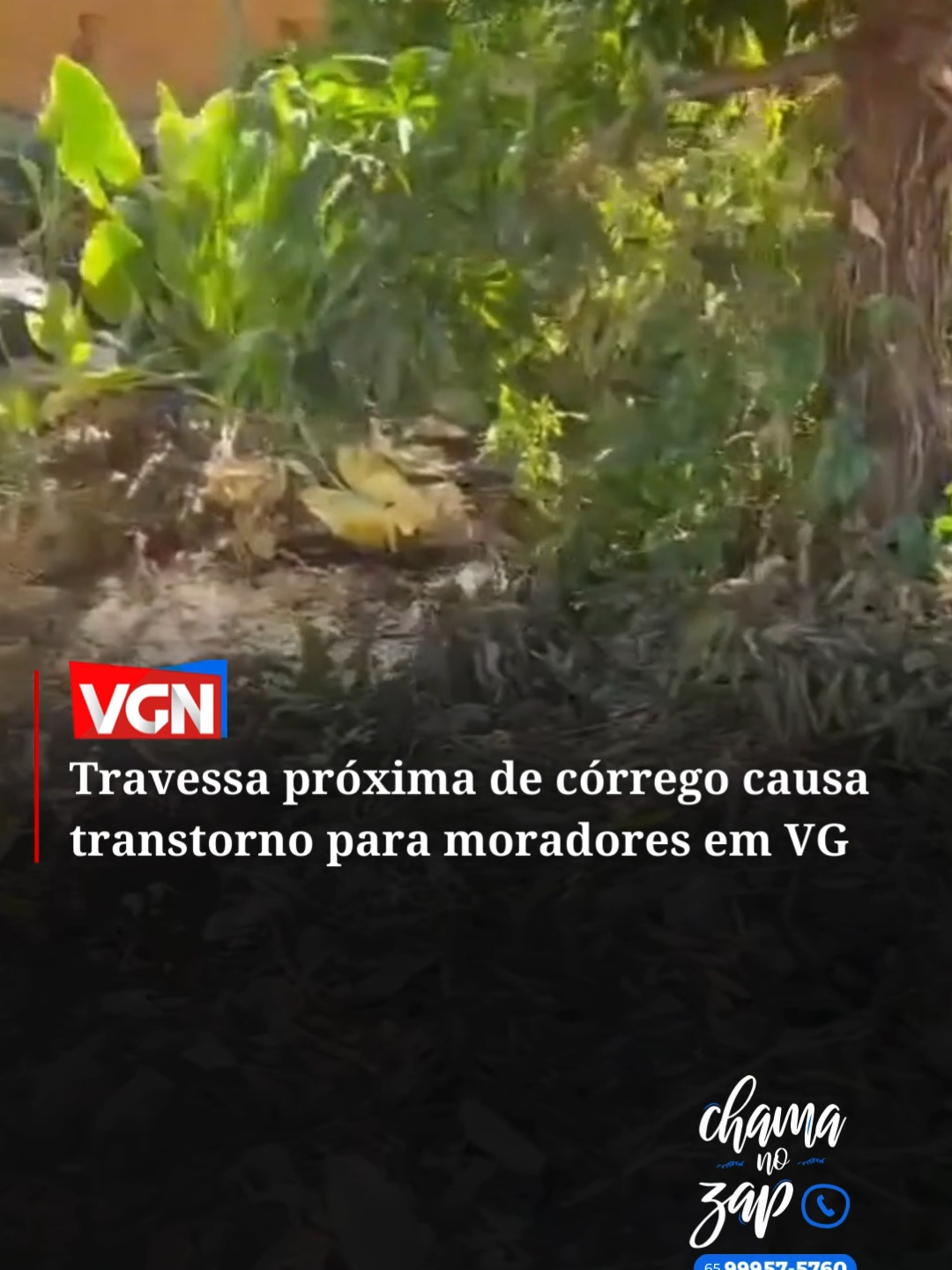 Moradora há 13 anos da Travessa Aracy de Almeida, no bairro Jardim Costa Verde, em Várzea Grande, a vendedora autônoma, Taize Oliveira de Miranda, 44 anos, afirmou ao #VGN que há anos os moradores cobram da Prefeitura a canalização do córrego, pois segundo ela, tem prejudicado a estrutura das residências. A pavimentação asfáltica também é citada como promessas de campanhas eleitorais, mas que até hoje não foram cumpridas. #vgnoticias #varzeagrande