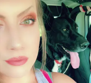 #CapCut #raisinghell #amazinggrace #life #fun #dog #dogsoftiktok #relatable #tiktok #followme #10k #foryou #foryoupage