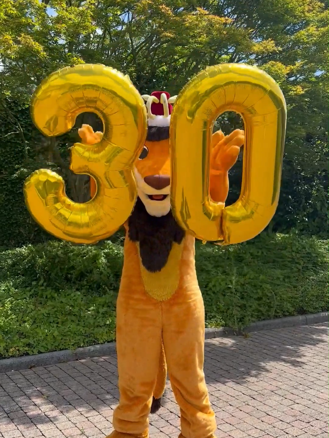 A happy dance to celebrate our 30K followers on TikTok 🙌 Thanks to all of you! #Bellewaerde #BellewaerdePark #BellewaerdeAquapark #thankyou