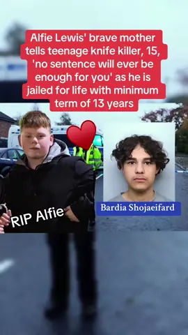 Alfie Lewis' brave mother tells teenage knife killer, 15, 'no sentence will ever be enough for you' as he is jailed for life with minimum term of 13 years #CapCut #breakingnews #news #crime #crimestories #crimestory #alfielewis #jailed 