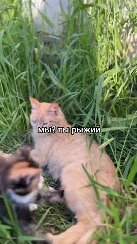 мы вххв #щитпост #отмечай 
