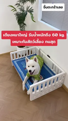 #เตียงหมา #ทาสหมา #สัตว์เลี้ยงรีแอค #เตียงมินิมอล #หมาใหญ่ 