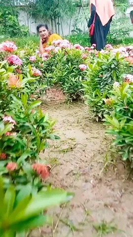 #foryou #❤️🥀❤️ #🥰🥰🥰 #❤️🥀❤️ #