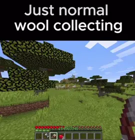 Bro what… #fyp #viral #Minecraft #sheep #white #black #funny #wth