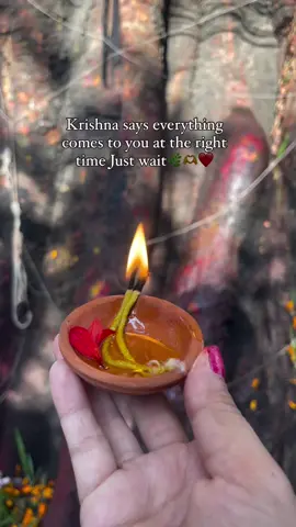 Have some patience❤️‍🩹🕉️🌸.! @GA Nesh  #krishna #radheyradhey🦚🙏❤️ 