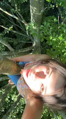 HIGH ON TREES AND LIFE  #nature #treeclimbing #fairy #trees #naturelovers #funny #happy #silly 