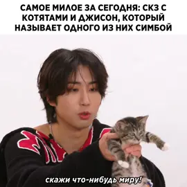 «будь собой, окей? ты Симба!» @Stray Kids #straykids #skz #stay #bangchan #leeknow #han #jisung #felix #yongbok #i_n #jeongin #skzinterview #cats #скз #стрейкидс 