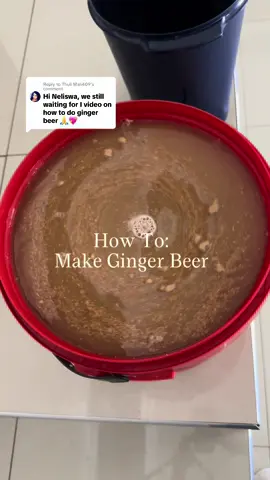 Replying to @Thuli Mali409 How to make ginger beer at home.  #howtotiktok #gingerbeer #ginger #fyp #viral 